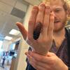 Ben holding a Madagascar hissing cockroach